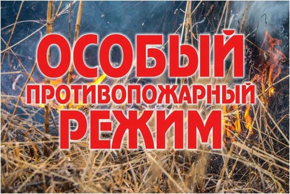 Особый противопожарный режим вводится на выходные дни в Красноярском крае.